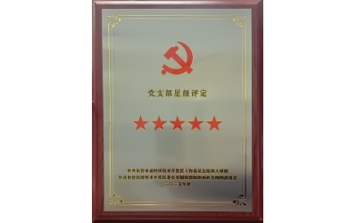 雙星閃耀映初心 黨建引領(lǐng)強(qiáng)發(fā)展&mdash;&mdash;勝動(dòng)集團(tuán)兩黨支部同獲五星級殊榮