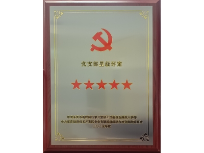 雙星閃耀映初心 黨建引領(lǐng)強(qiáng)發(fā)展&mdash;&mdash;勝動(dòng)集團(tuán)兩黨支部同獲五星級殊榮